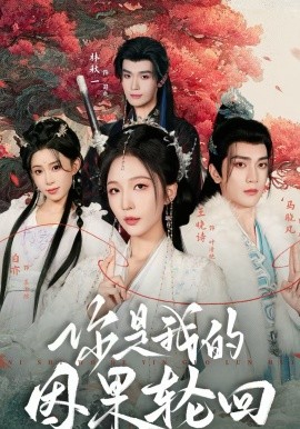 你是我的因果轮回全集