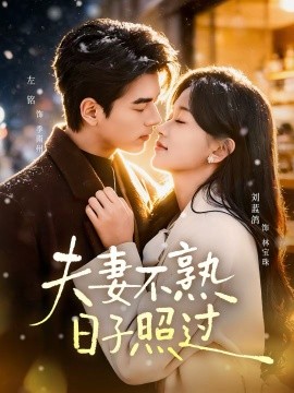 夫妻不熟，日子照过全集