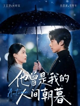 他曾是我的人间朝暮全集