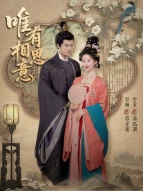 唯有相思意全集