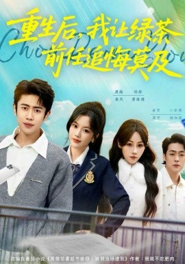 重生后，我让绿茶前任追悔莫及全集