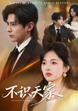 不识天家全集