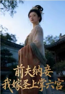 前夫纳妾，我嫁圣上掌六宫全集