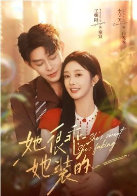 她很乖，她装的全集