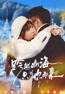 跨越山海只为你而来全集