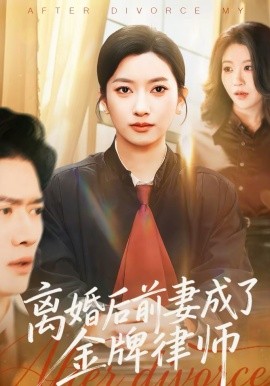 离婚后前妻成了金牌律师全集