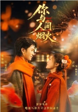 你与人间烟火全集