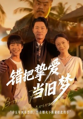 错把挚爱当旧梦全集