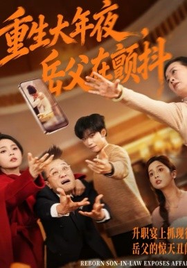 重生大年夜，岳父在颤抖全集
