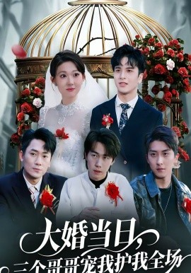 大婚当日，三个哥哥宠我护我全场全集