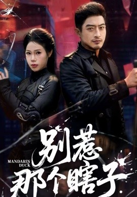 别惹那个瞎子全集