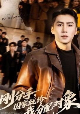 刚分手，国家就给我分配对象全集