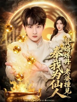 赘婿炼丹，老婆撞见，奉我为仙人全集