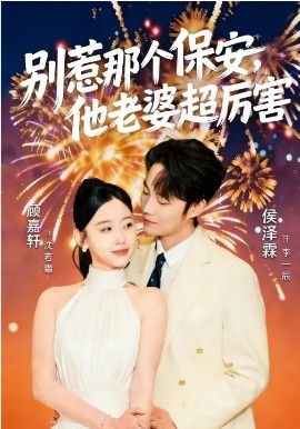 别惹那个保安，他老婆超厉害全集
