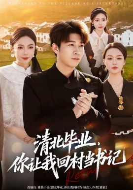 清北毕业，你让我回村当书记全集