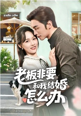 老板非要和我结婚怎么办全集