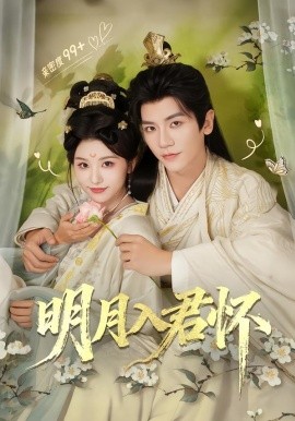 明月入君怀全集