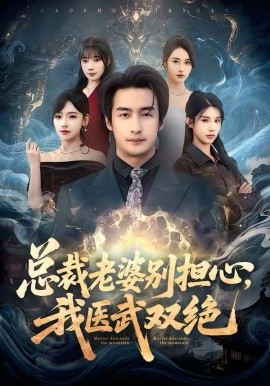 总裁老婆别担心，我医武双绝全集