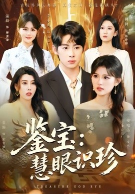 鉴宝：慧眼识珍全集