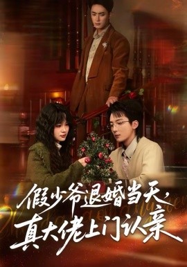 假少爷退婚当天，真大佬上门认亲全集