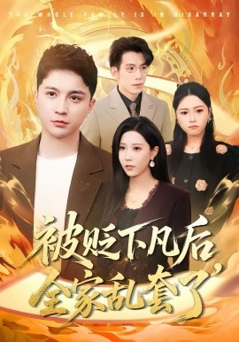 被贬下凡后全家乱套了全集