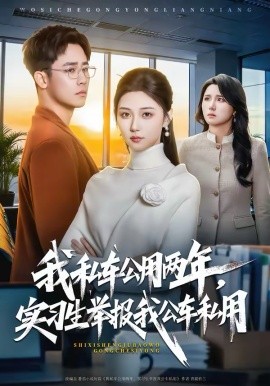 我私车公用两年，实习生举报我公车私用全集