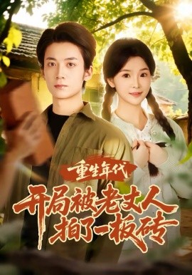重生年代开局被老丈人拍了一板砖全集