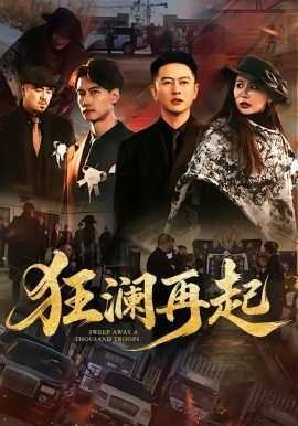 狂澜再起全集