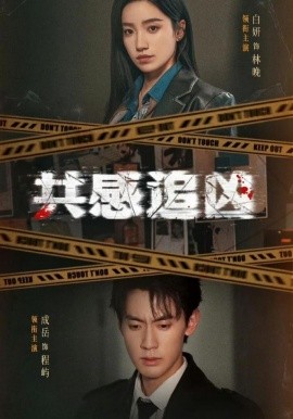 共感追凶全集