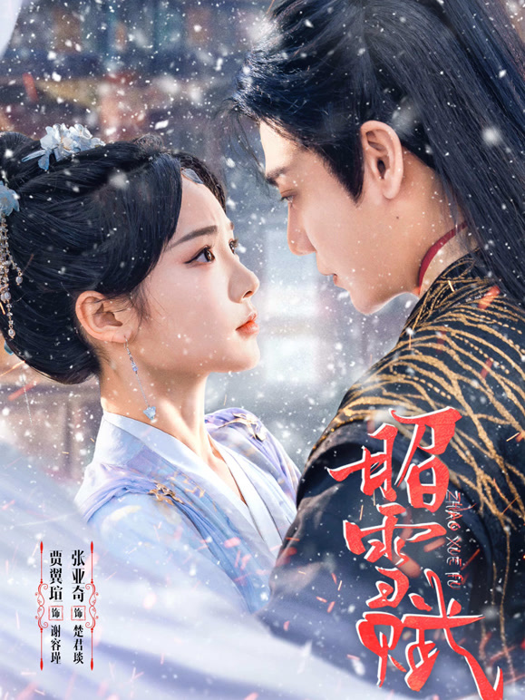 昭雪全集