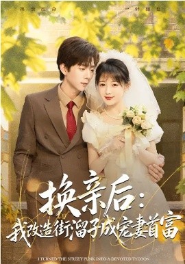 换亲后：我改造街溜子成宠妻首富全集