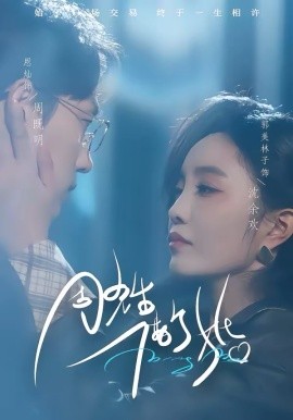 周先生，借个婚全集