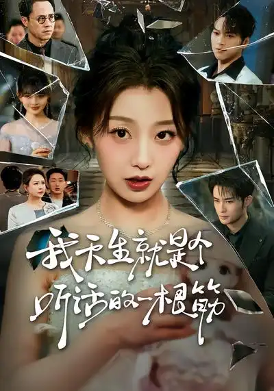 我天生就是个听话的一根筋全集