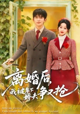 离婚后，我被年下娇夫争又抢全集