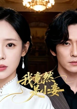 我竟然是小妾全集