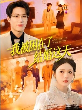 我被困在了结婚这天全集