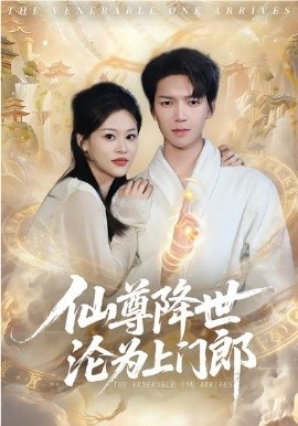 仙尊降世沦为上门郎全集