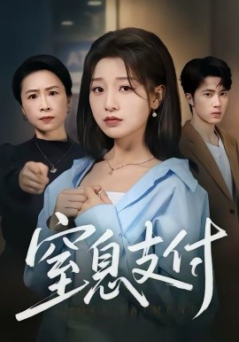 窒息支付全集