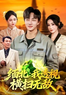 缅北：我透视横扫无敌全集
