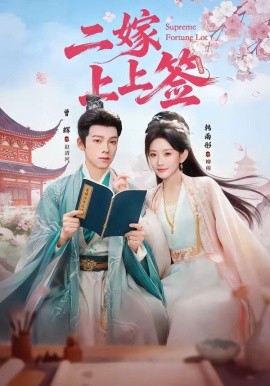二嫁上上签全集