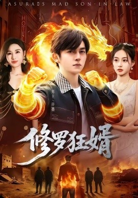 修罗狂婿全集