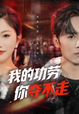 我的功劳，你夺不走全集