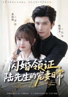 闪婚领证，陆先生的宠妻日常全集