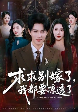 求别嫁了，我都要凉透了全集