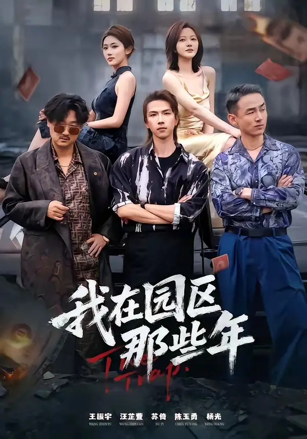 我在园区那些年全集