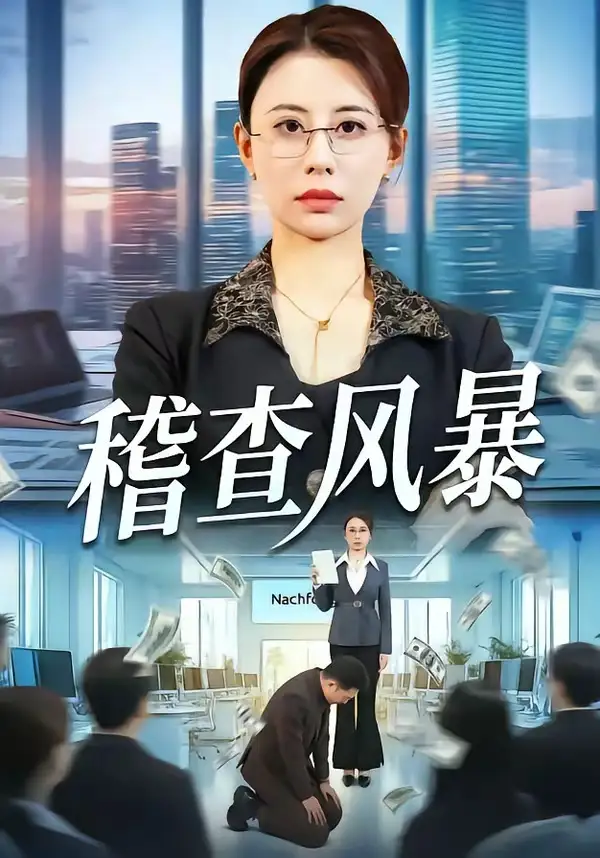 稽查风暴全集