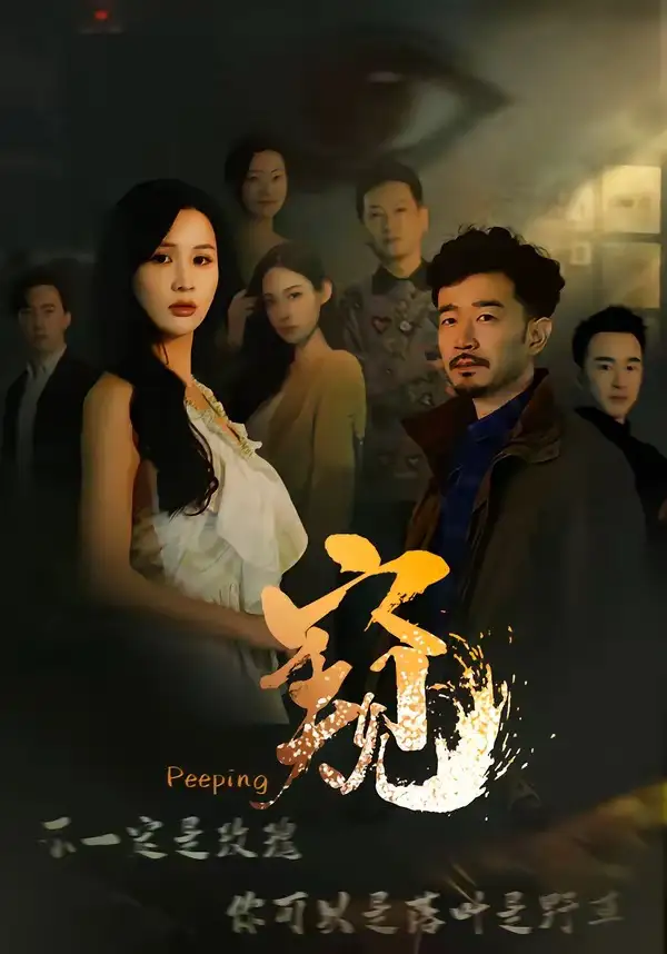 窥 窥伺全集
