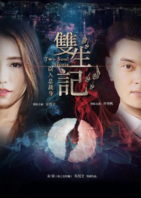 双生记之误入总裁身(全集)