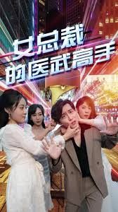 女总裁的医武高手全集