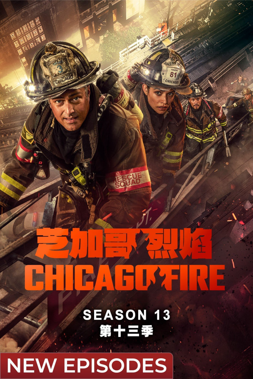 芝加哥急救 第十三季(全集)